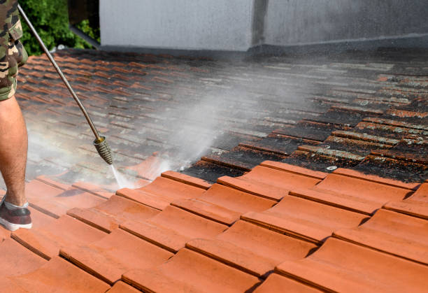 Best Exterior Home Cleaning  in Prien, LA
