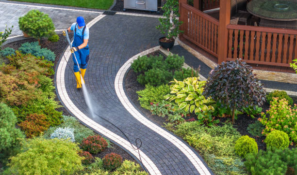 Best Power Washing Near Me  in Prien, LA